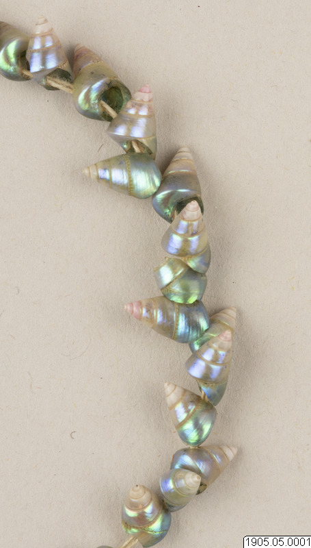 photo: Museums of World Cultures